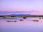 Full Moon Rising over Sangre de Cristo Mountain Range Alamosa National Wildlife Refuge Colorado 1 Just Wall Decor Full Moon Rising over Sangre de Cristo Mountain Range Alamosa National Wildlife Refuge Colorado