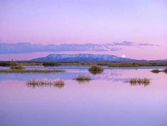 Full Moon Rising over Sangre de Cristo Mountain Range, Alamosa National Wildlife Refuge, Colorado