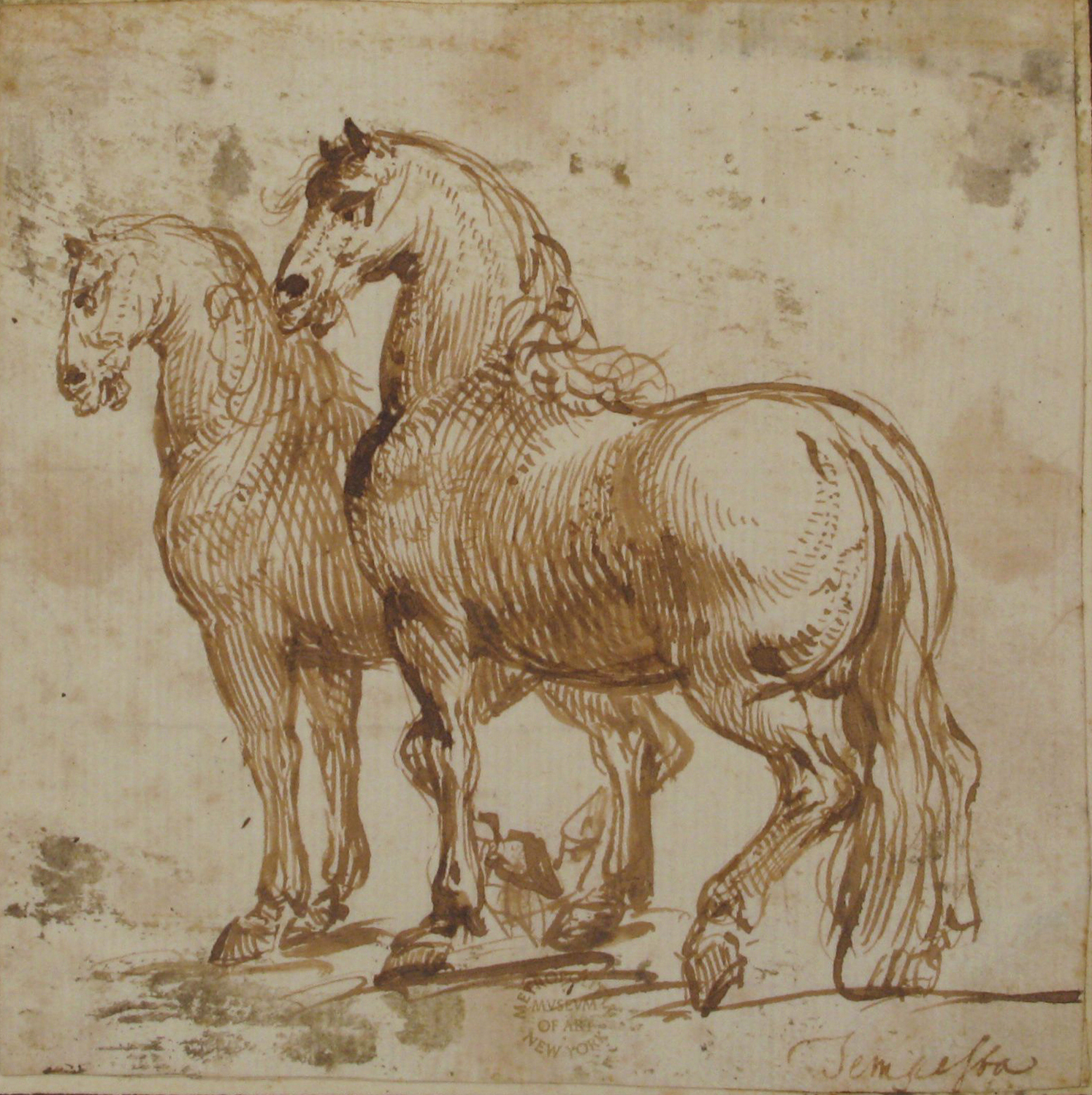 Two Horses, 1624