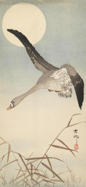 Goose Flying in Moonlight, ca. 1910