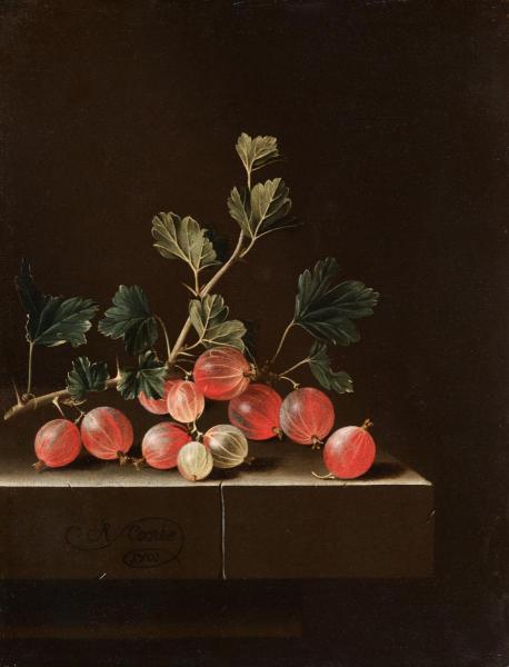 Gooseberries on a Table 1701 1 Just Wall Decor Gooseberries on a Table 1701