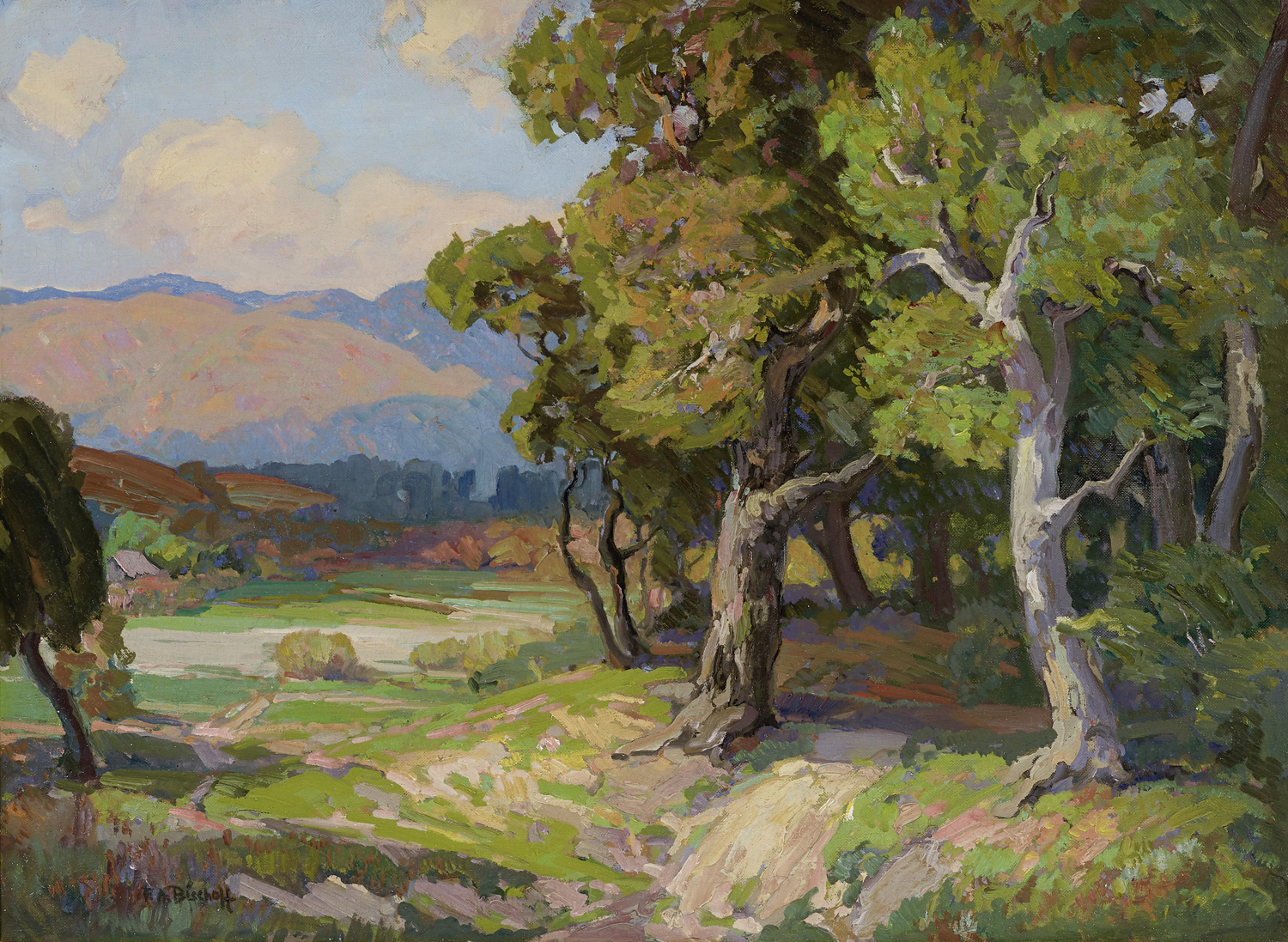 Trees Along the Carmel Coast 1 Just Wall Decor Trees Along the Carmel Coast