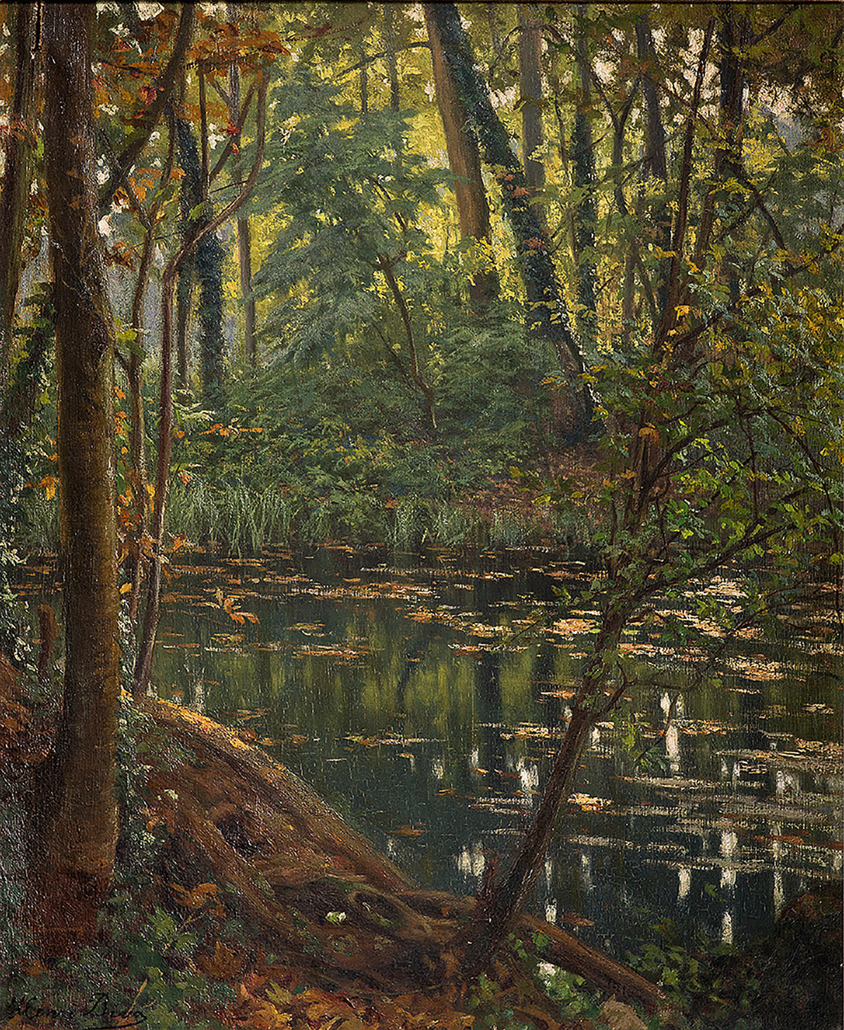 Pond In a Forest