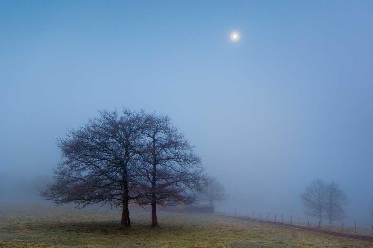 Silencio Azul (Blue Silence)