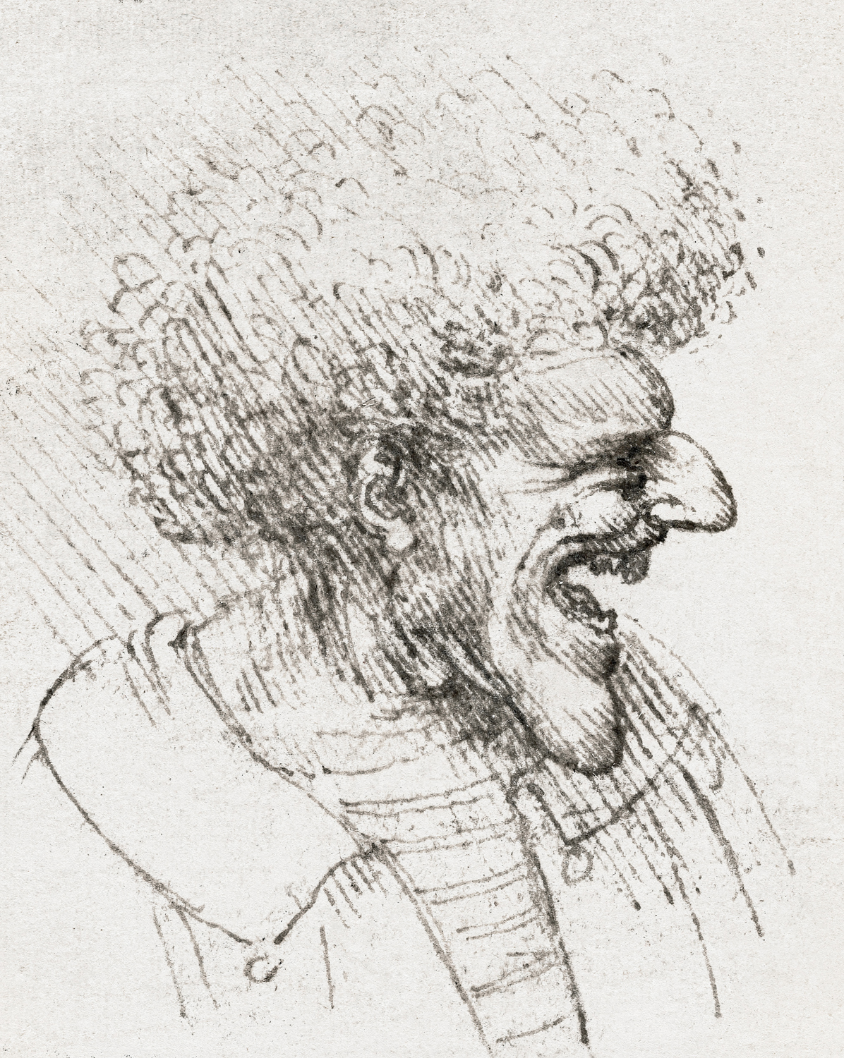 Caricature of a Man with Bushy Hair c Just Wall Decor Caricature of a Man with Bushy Hair c 1495