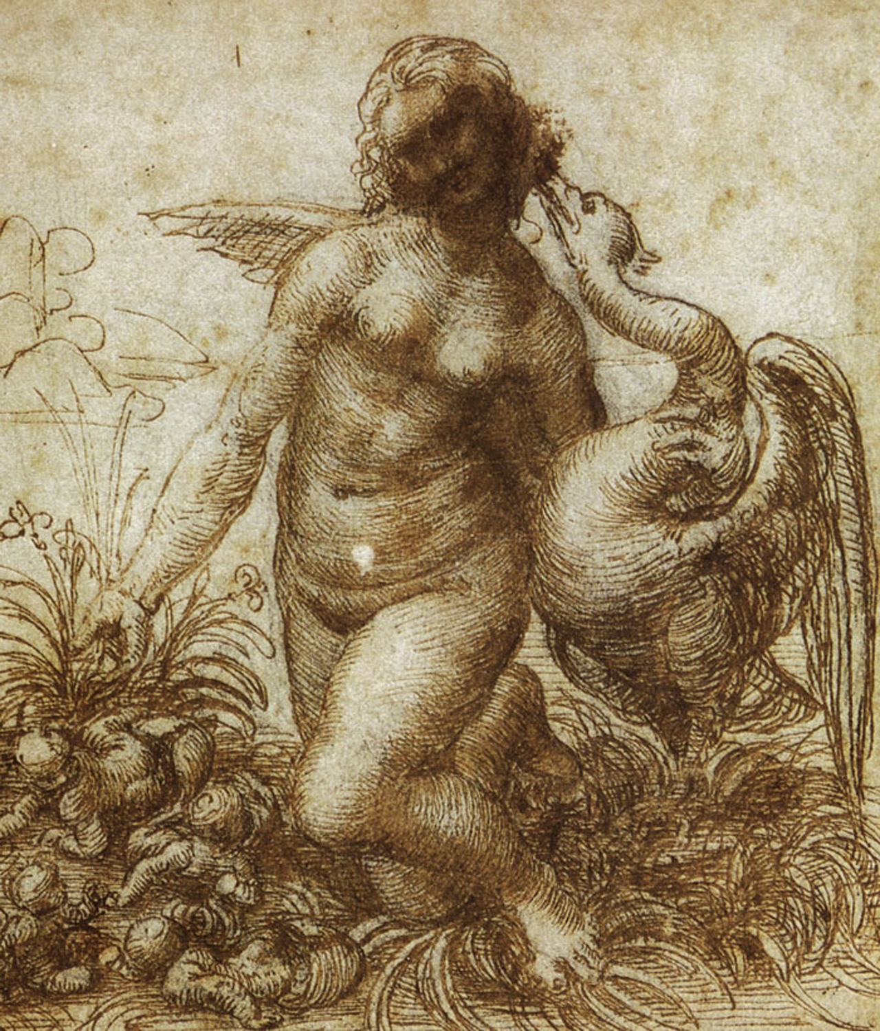 Study for the Kneeling Leda 16th century 1 Just Wall Decor Study for the Kneeling Leda 16th century
