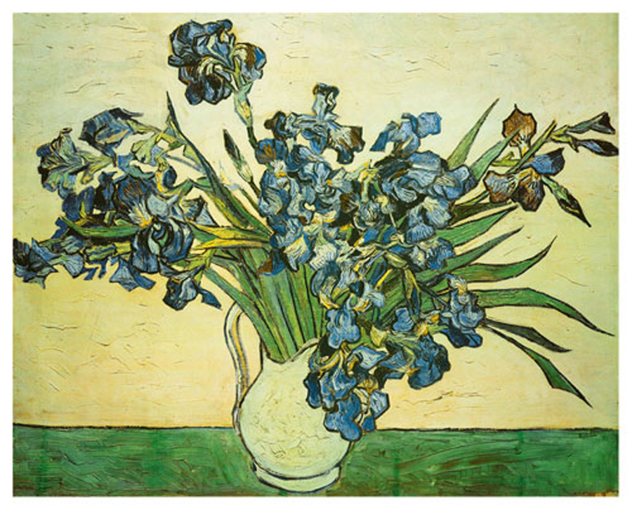 Bouquet of Irises