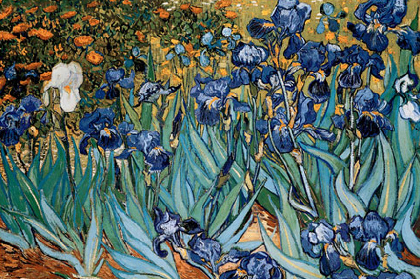 Irises
