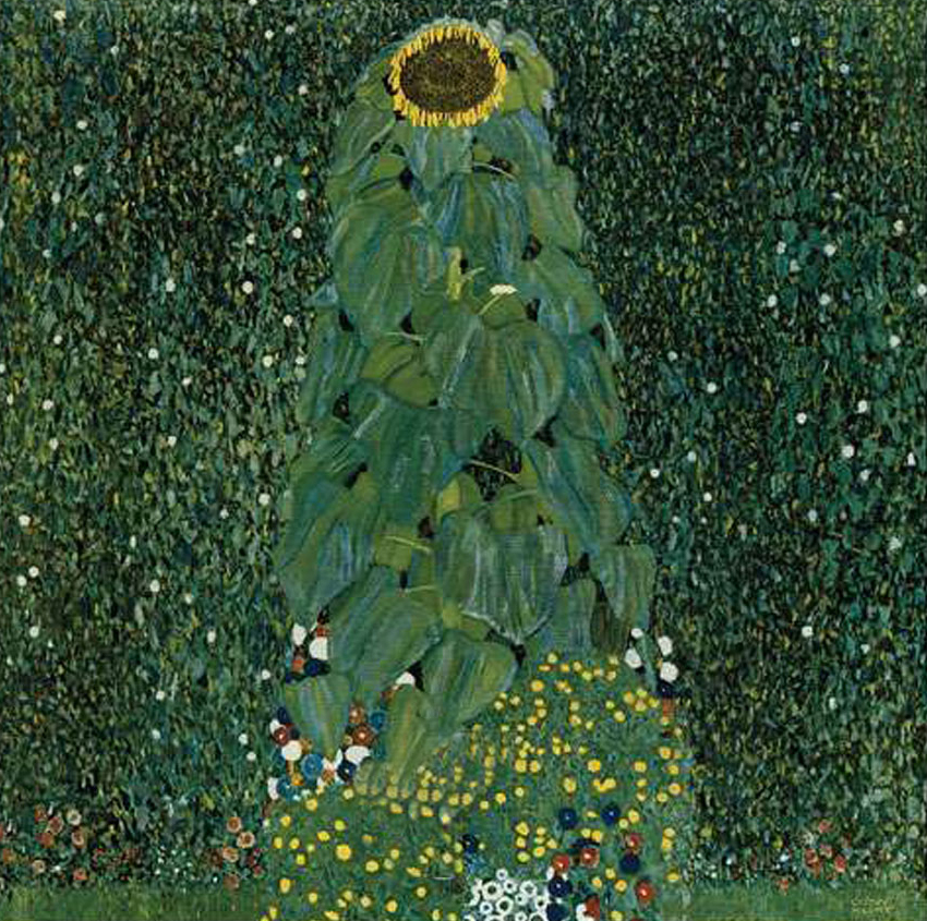 Sunflower, 1907