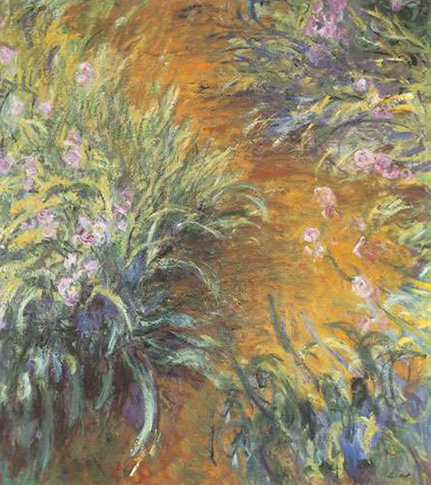 The Path Through the Irises