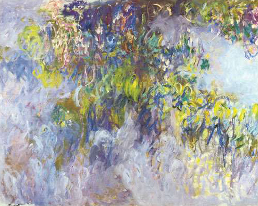 Wisteria