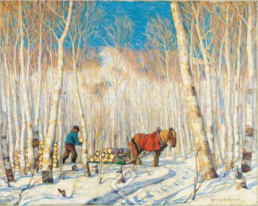 Birch Forest in March