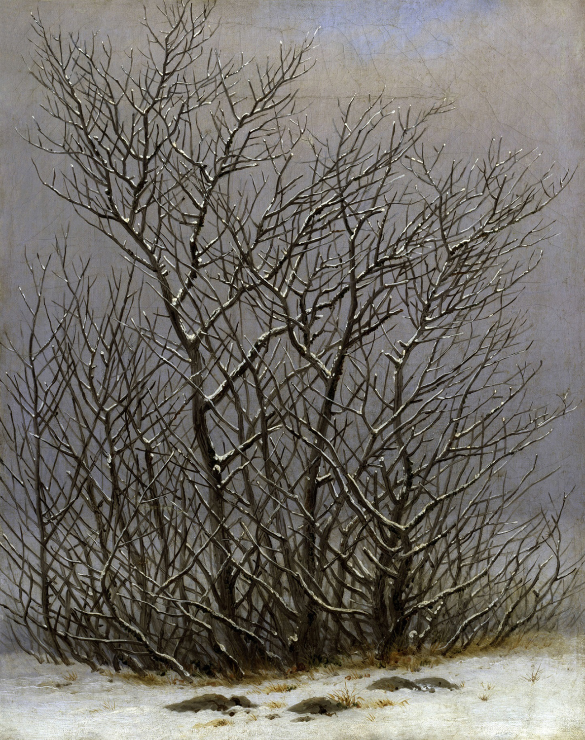 Bushes in the Snow, c. 1827-28