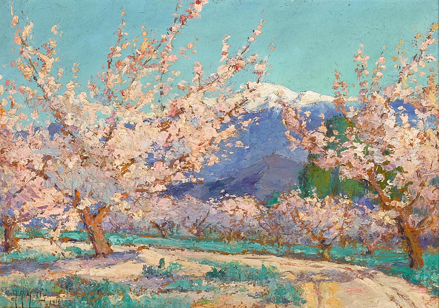 Springtime Almond Trees, Banning, California, 1916