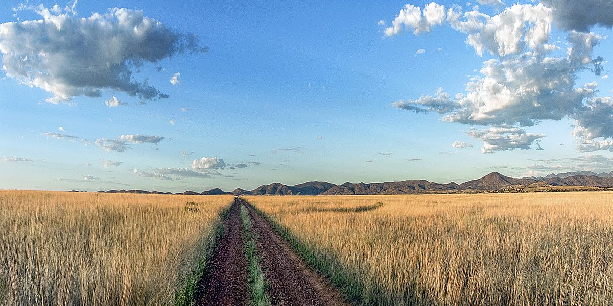 Country Road Panorama