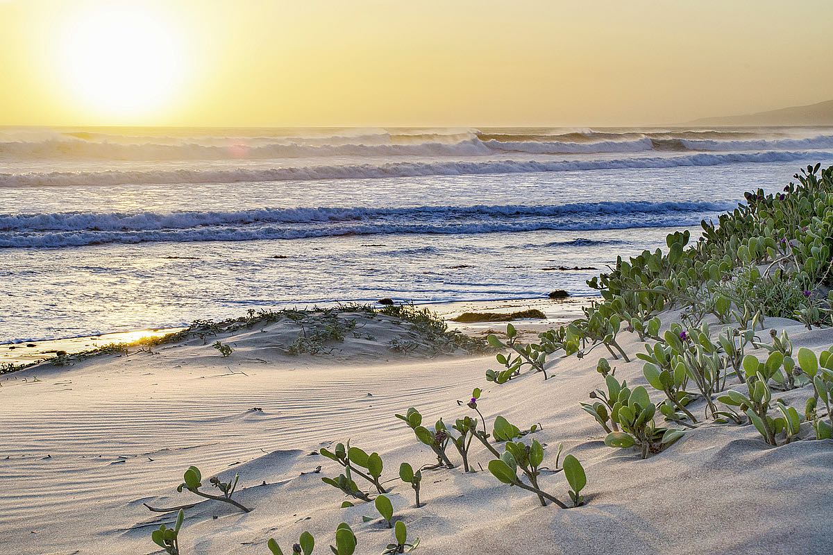 Pacific Ocean Seascape No. 5