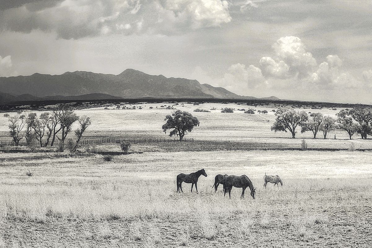 Ranchland 9a