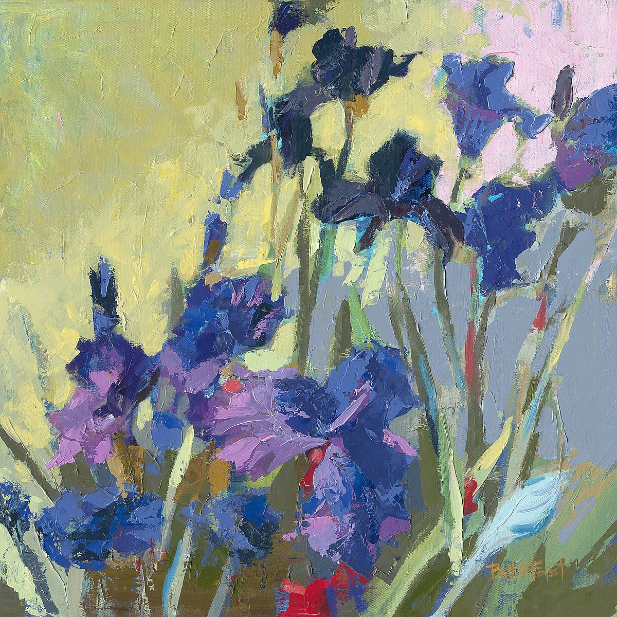 Red Show Irises
