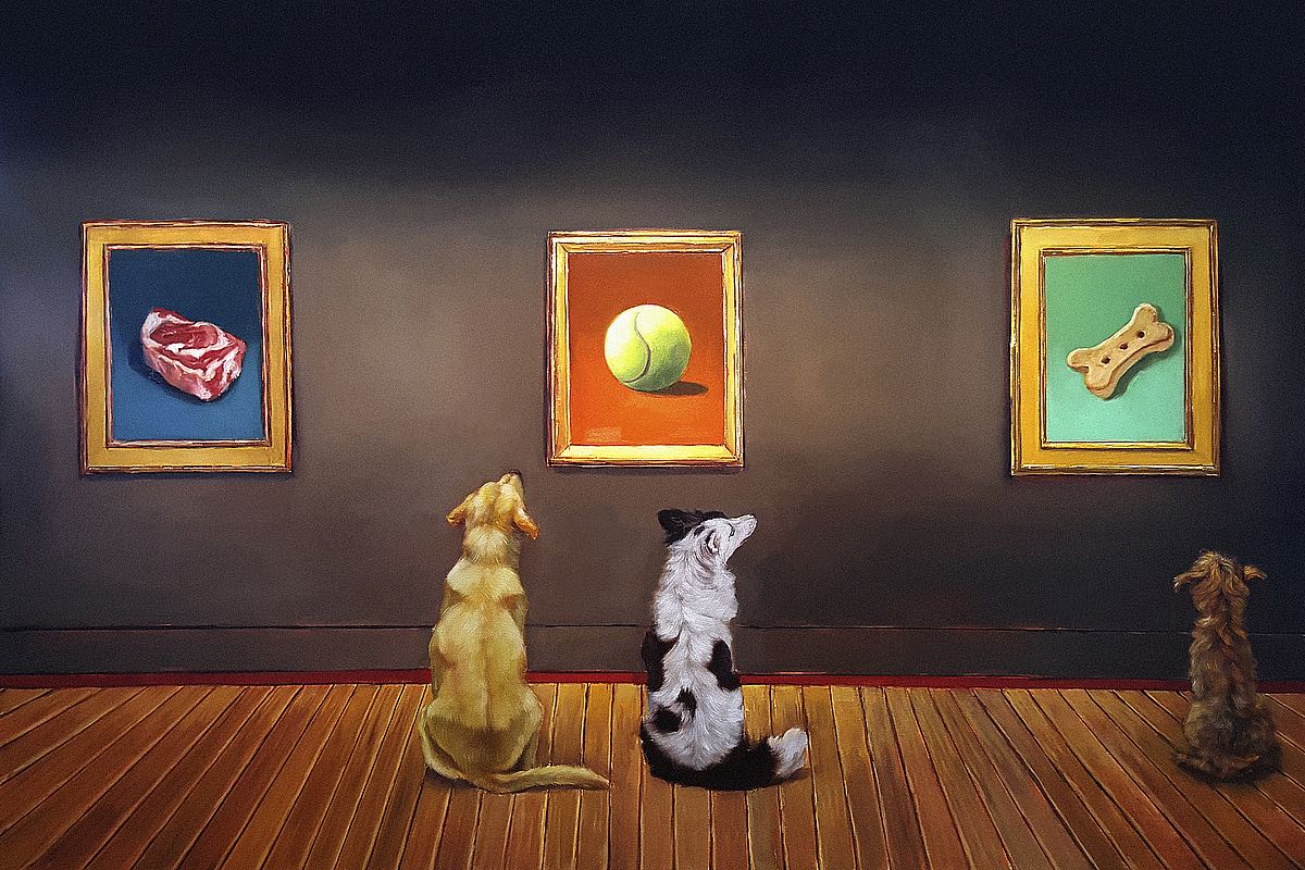 Dog Museum