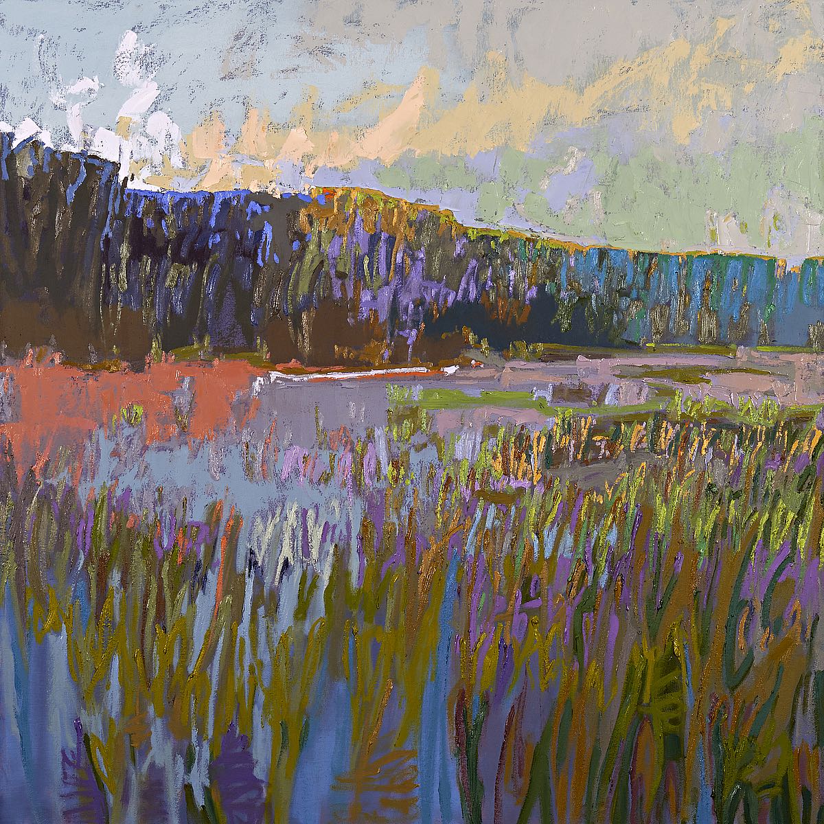 More Than the Eye Can See