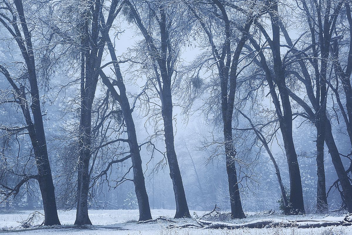 Magical Morning