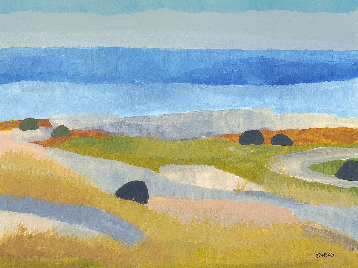 A Field in Iceland