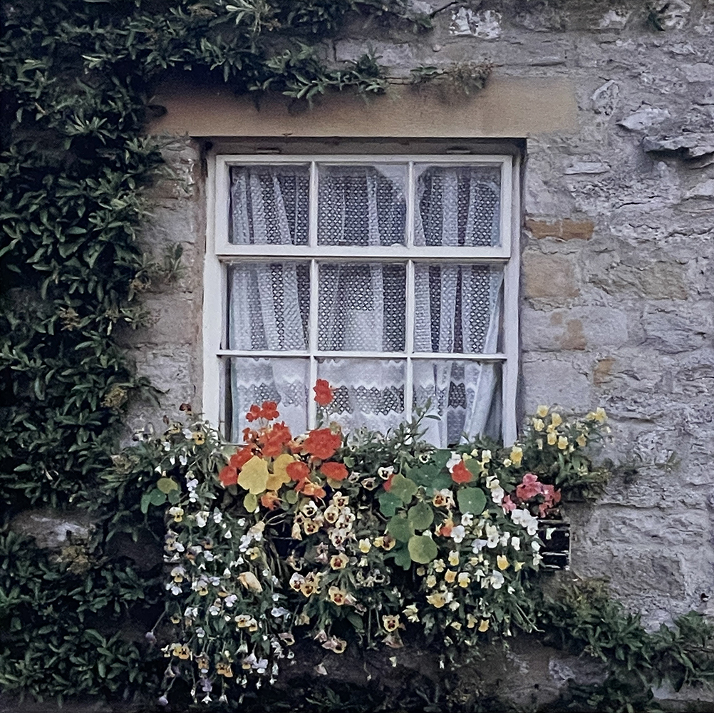 Yorkshire Cascade, Ripley, England