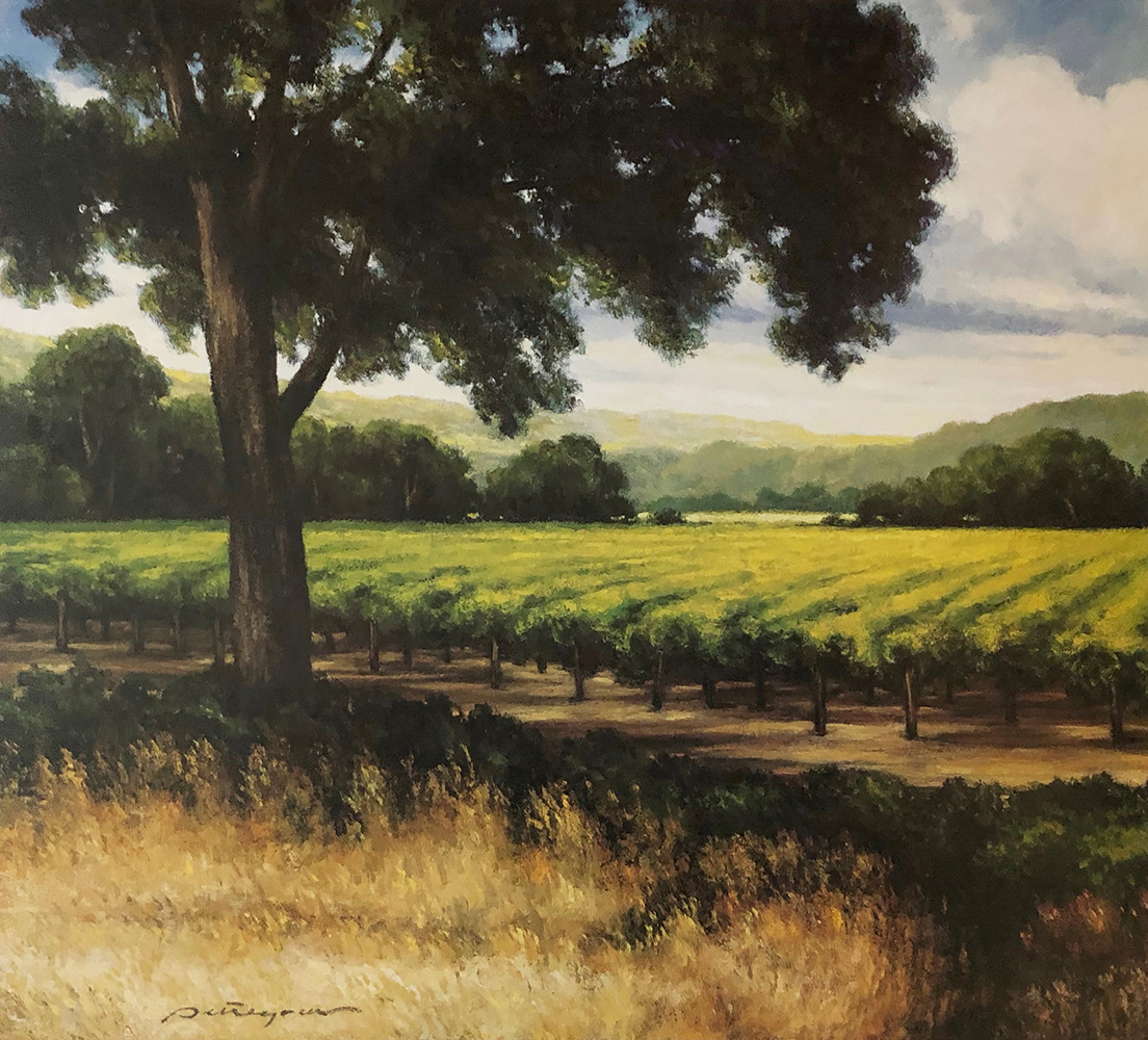 Mountain Vineyard II