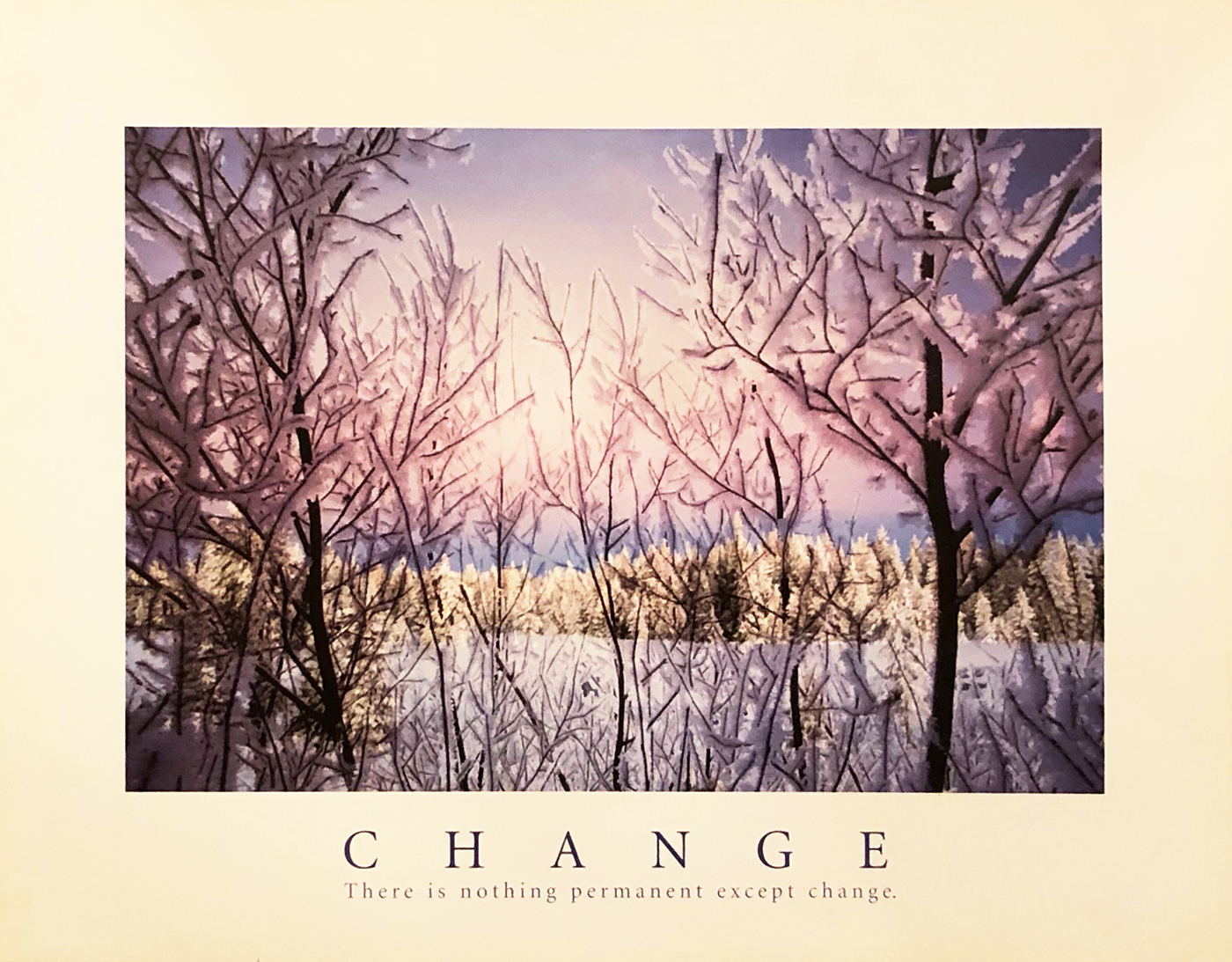 Change - Snowy Trees