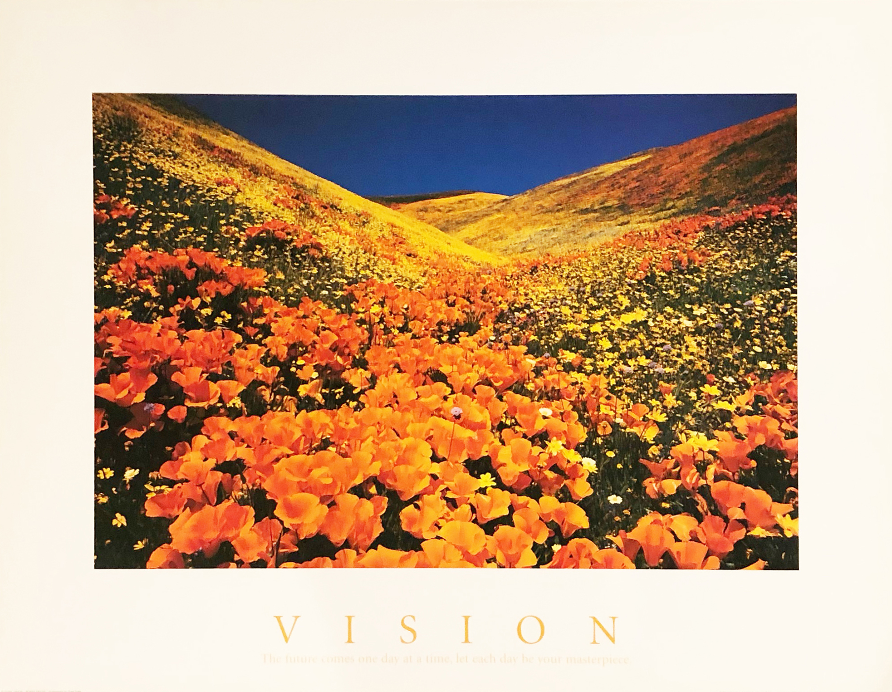 Vision - Poppy Fields