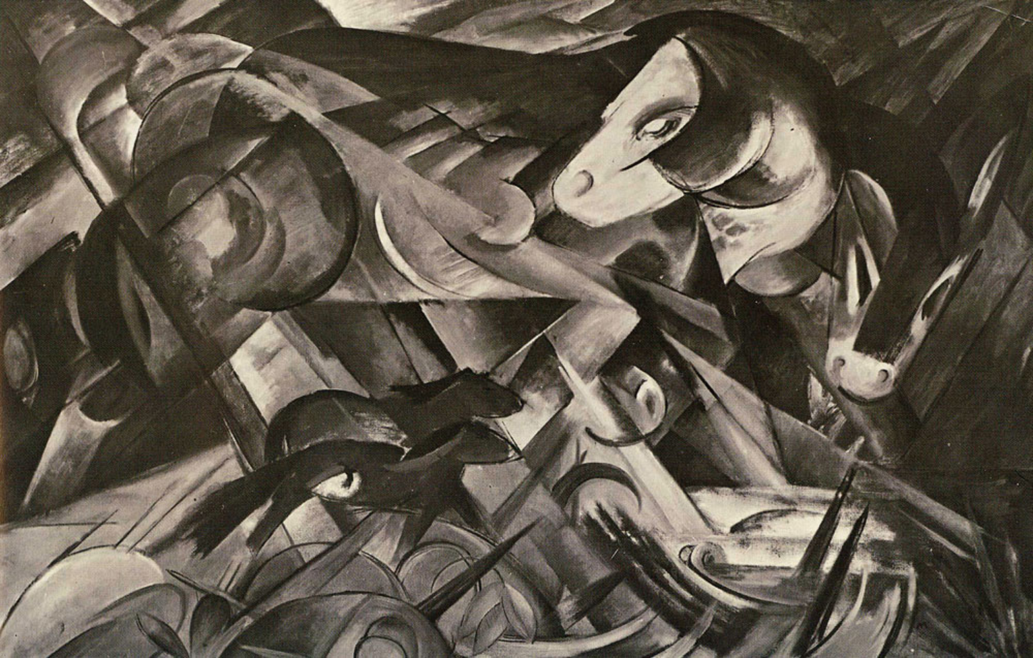 The First Animals, 1913