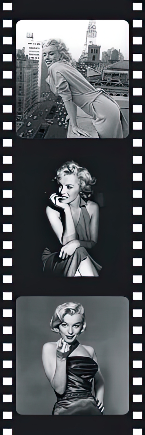 Film Reel III
