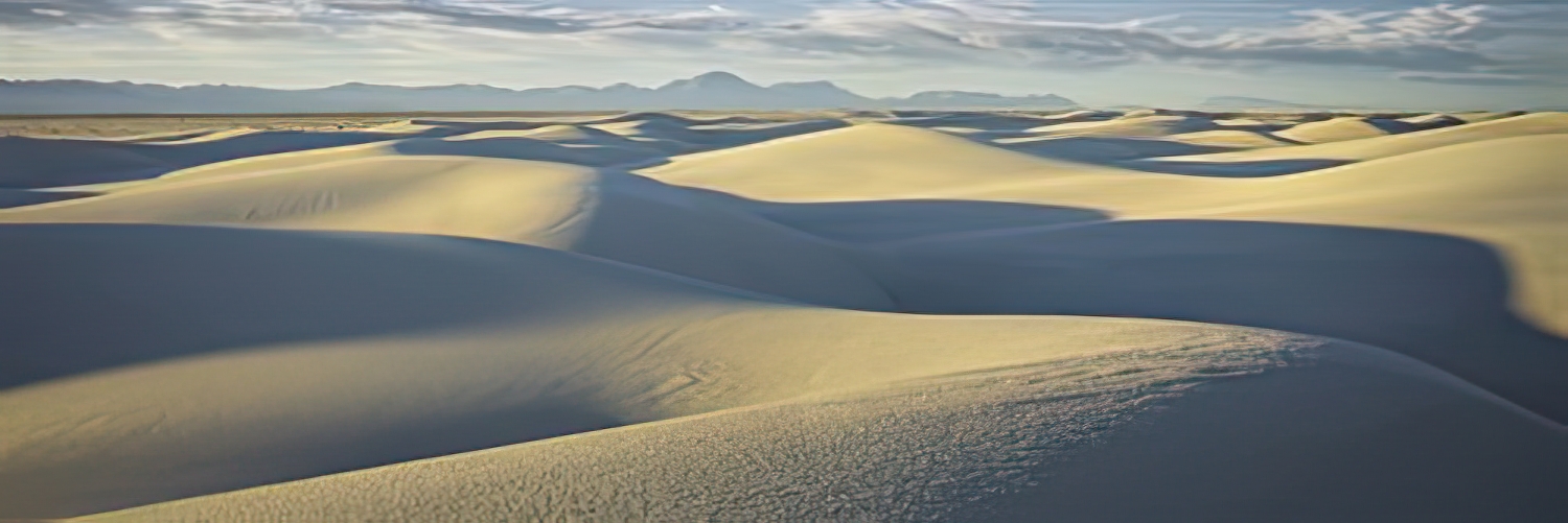 Desert Waves