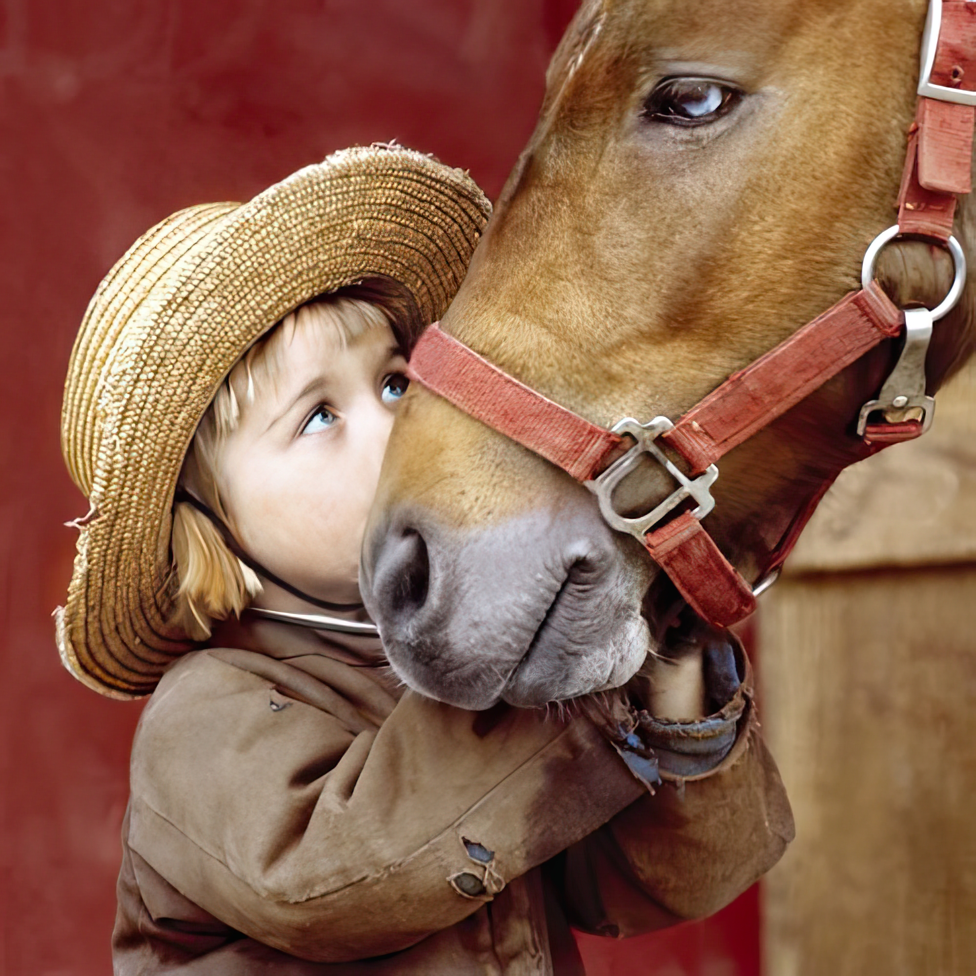 Best of Friends