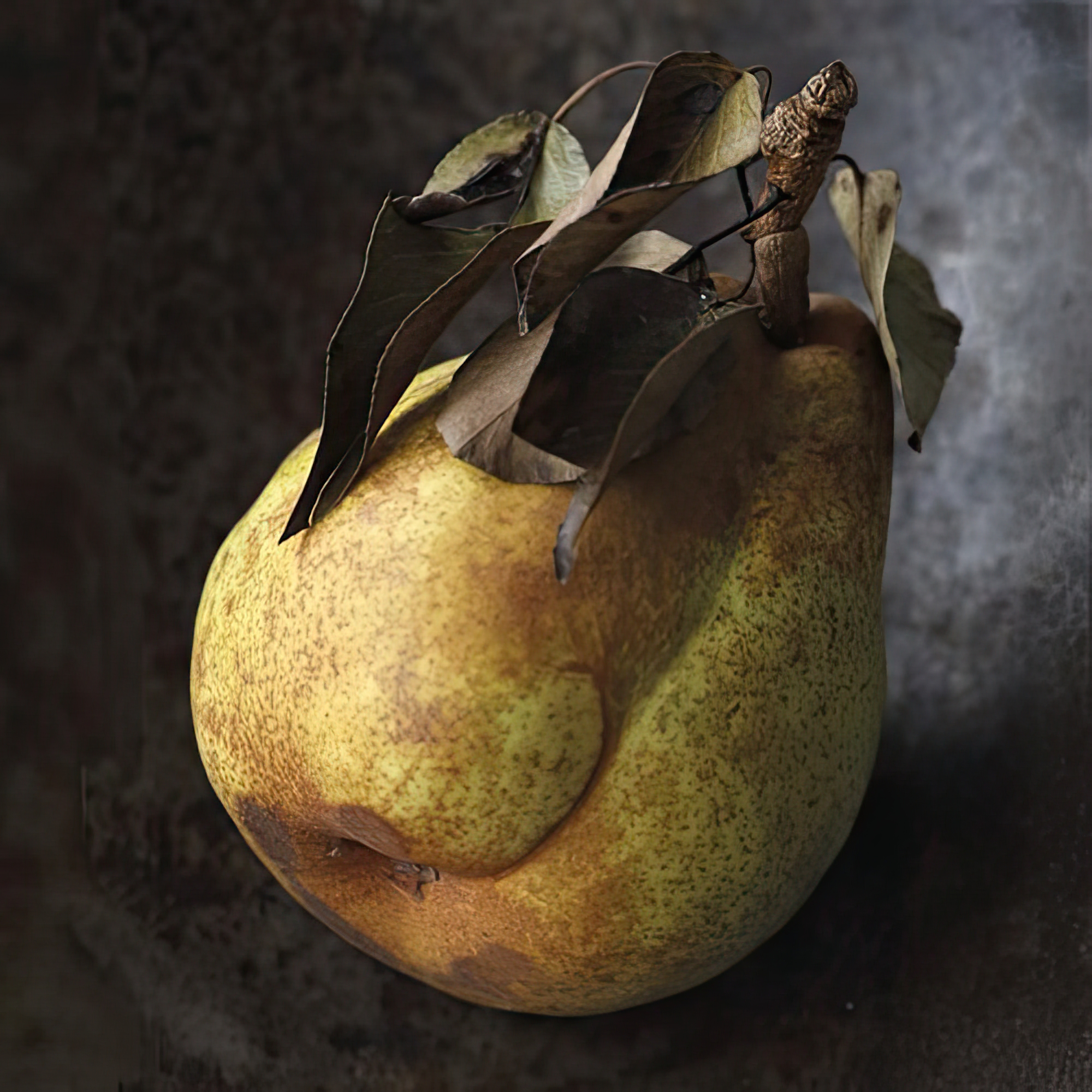 Pear Portrayal