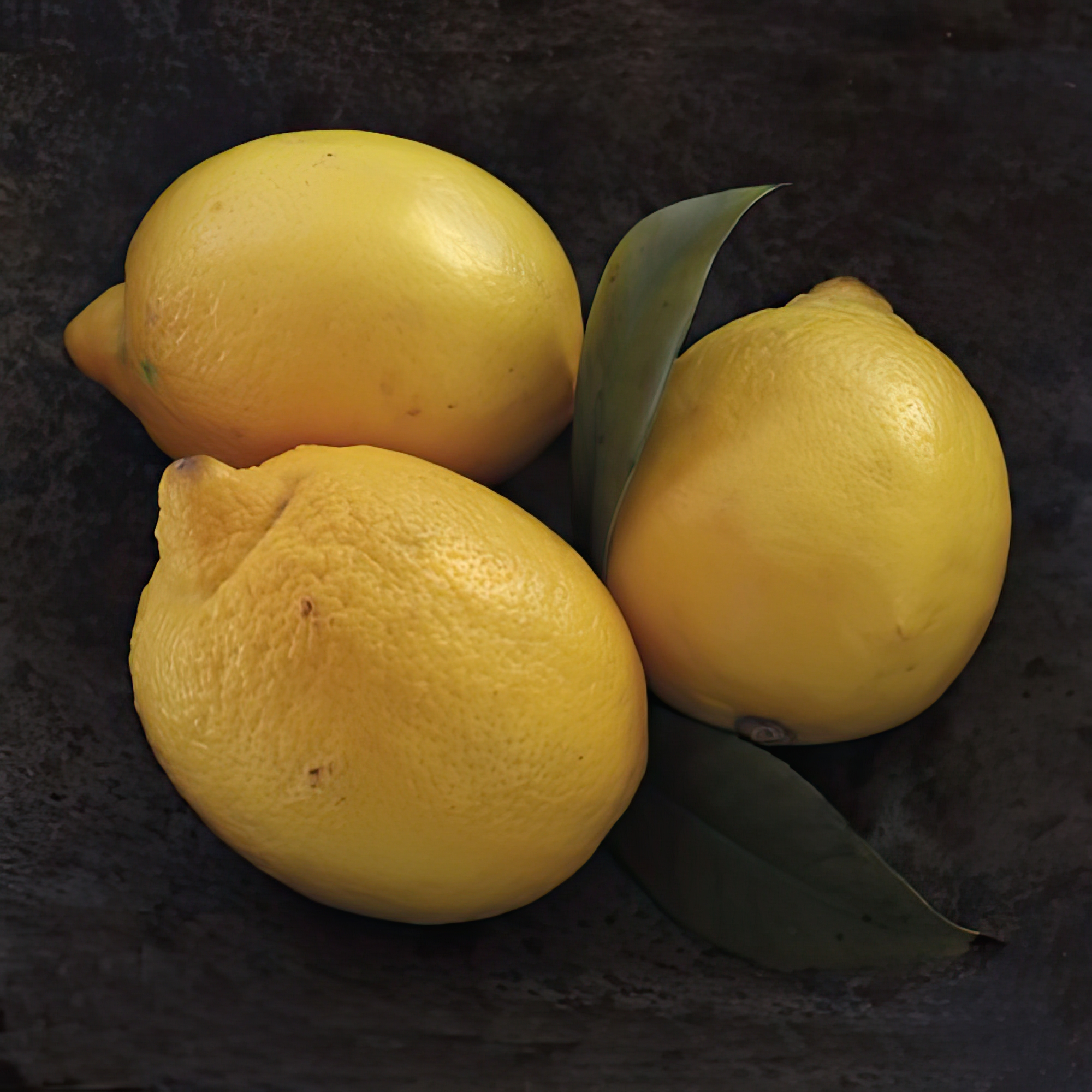 Lemon Trio