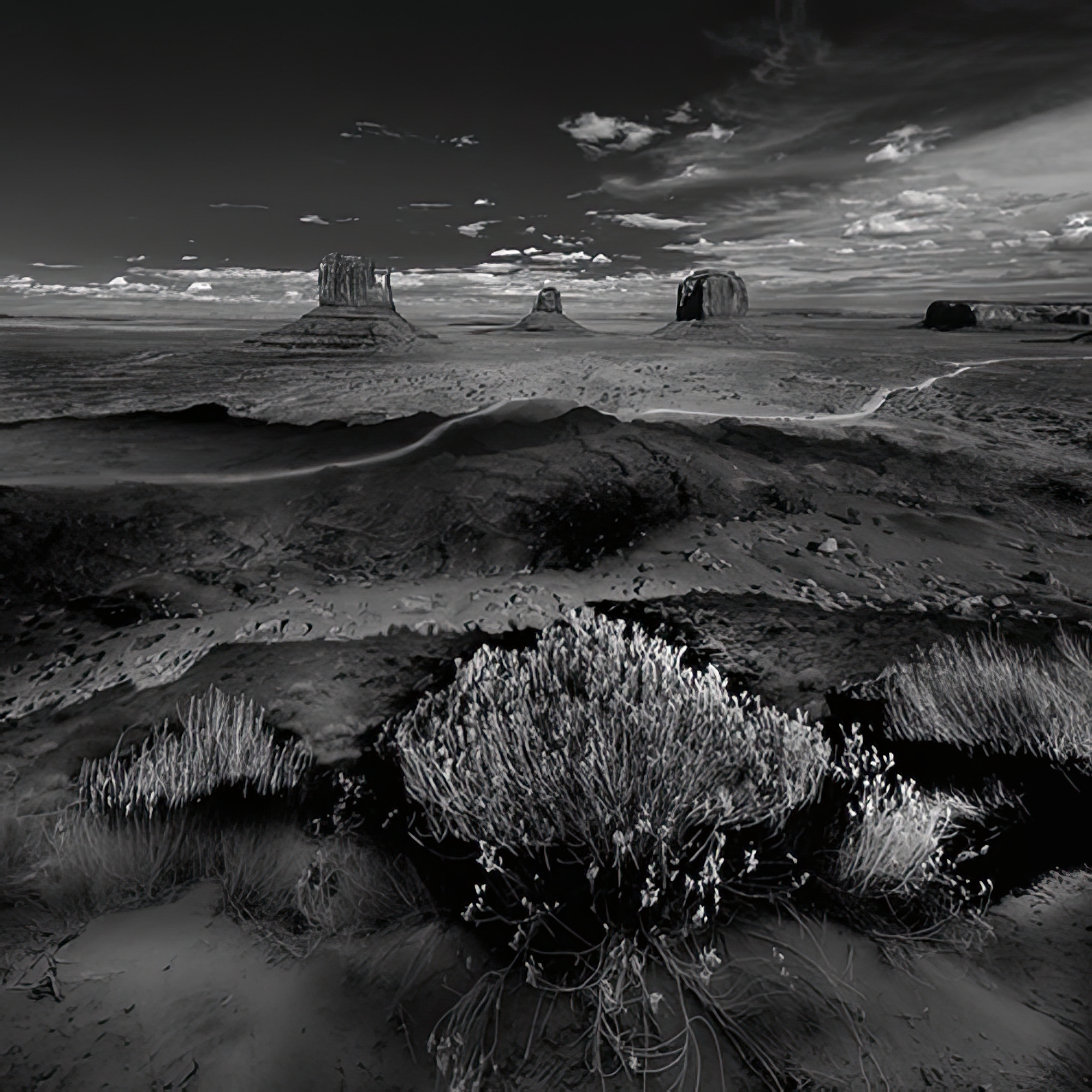 Desert Monument - Vista