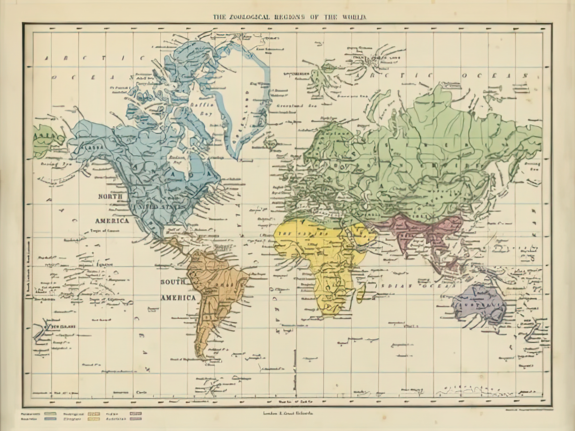 Map of the Zoological Regions of the World