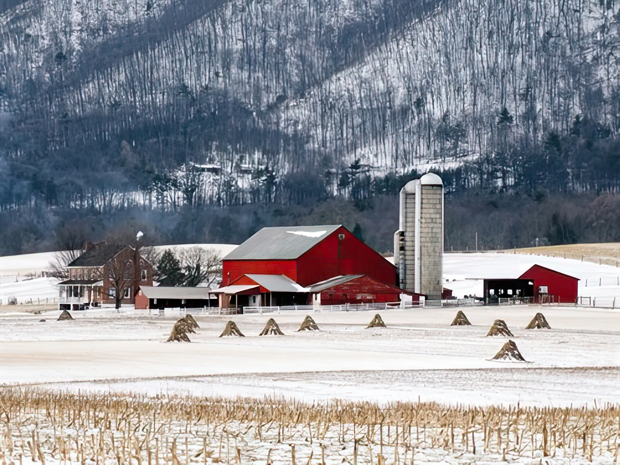Winter Farm
