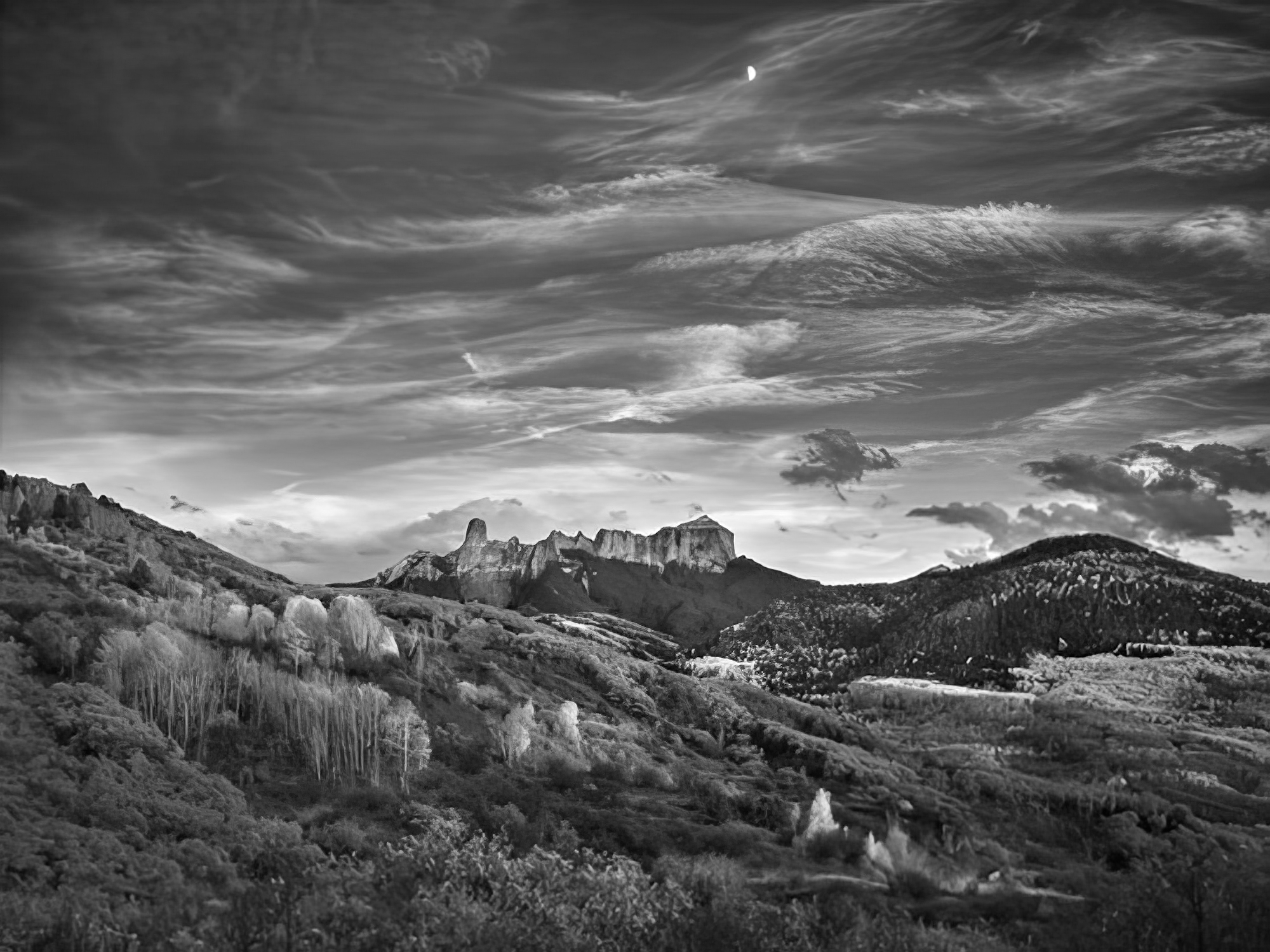 Wilderness Moonrise