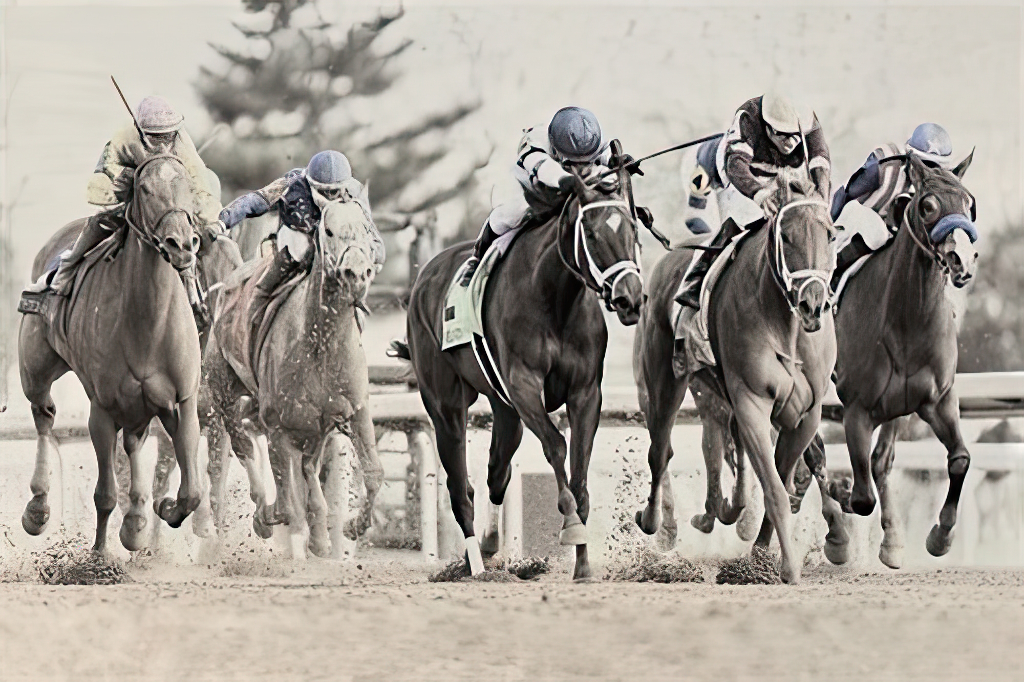 Photo Finish