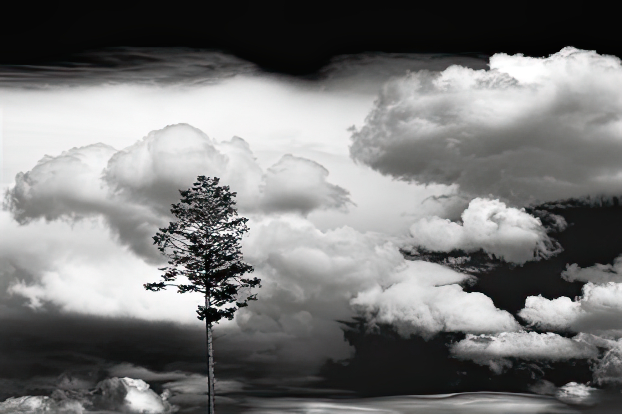 Lone Pine