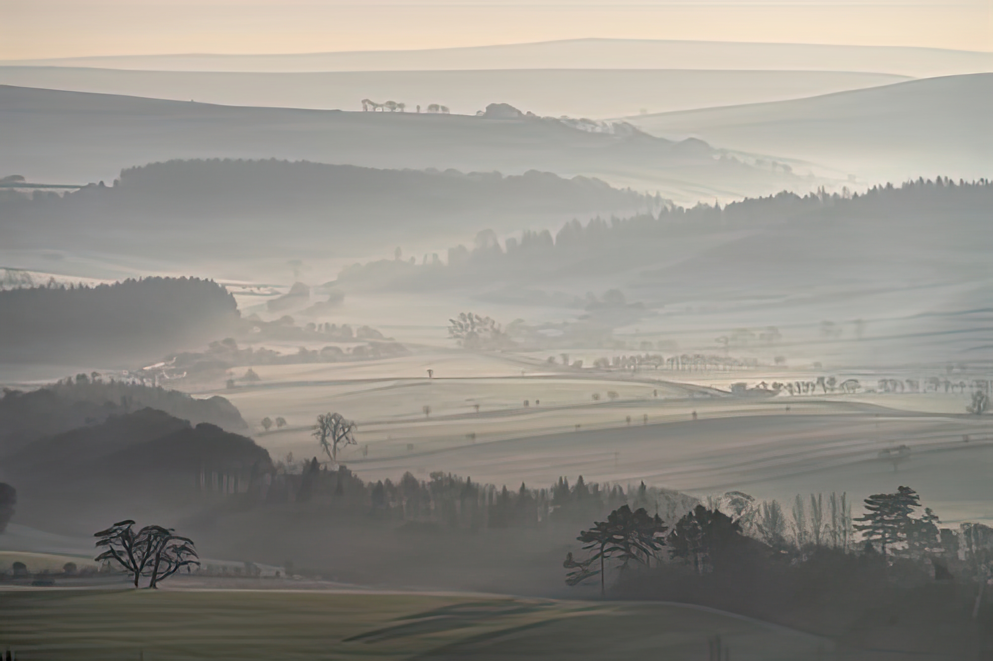 Delicate Mist