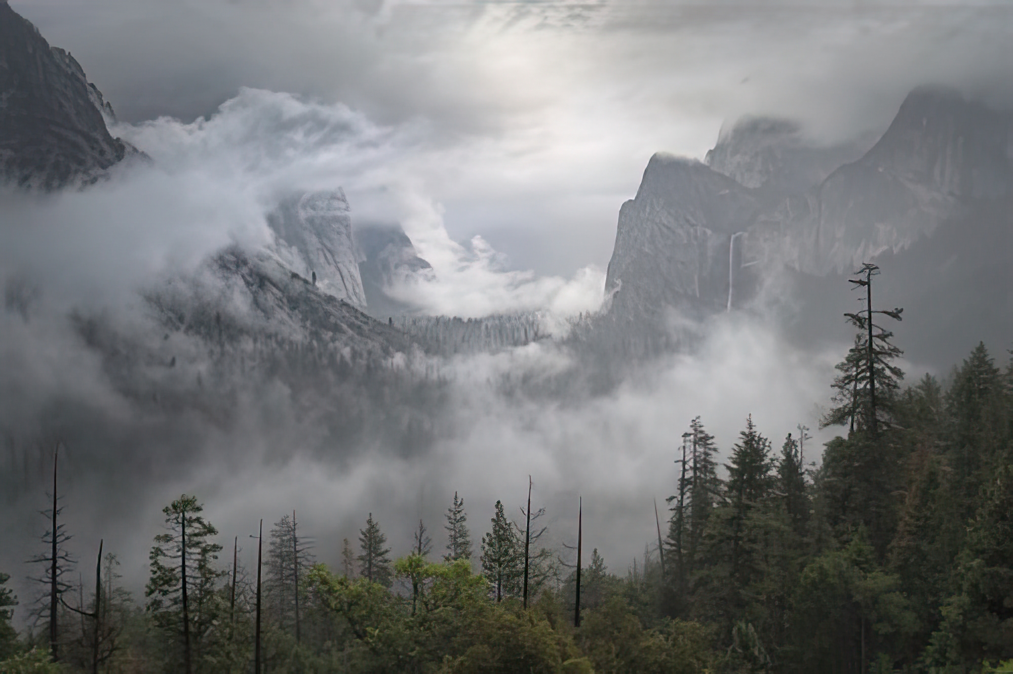 Mist Covered