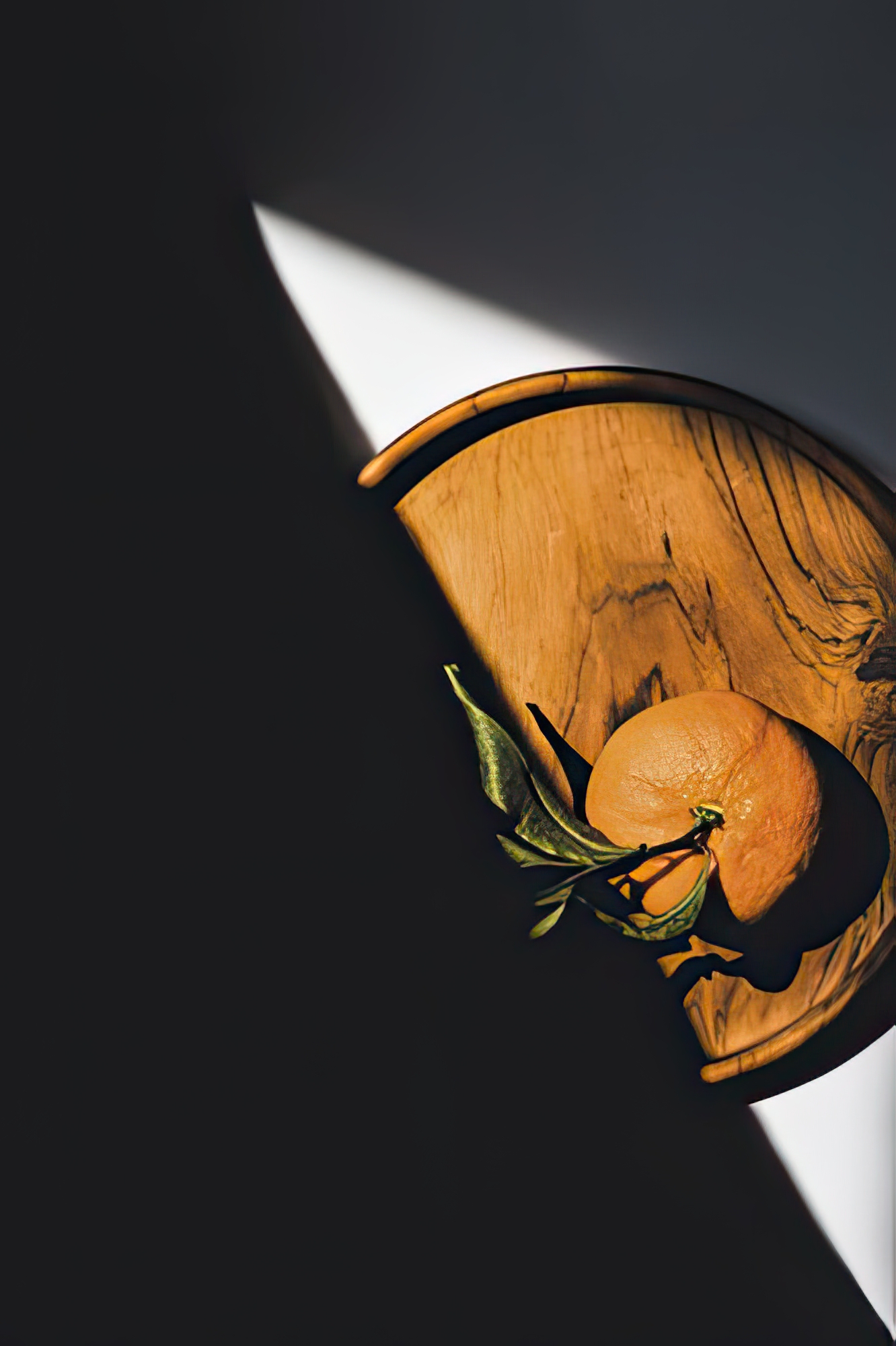 Citrus Still - Shade
