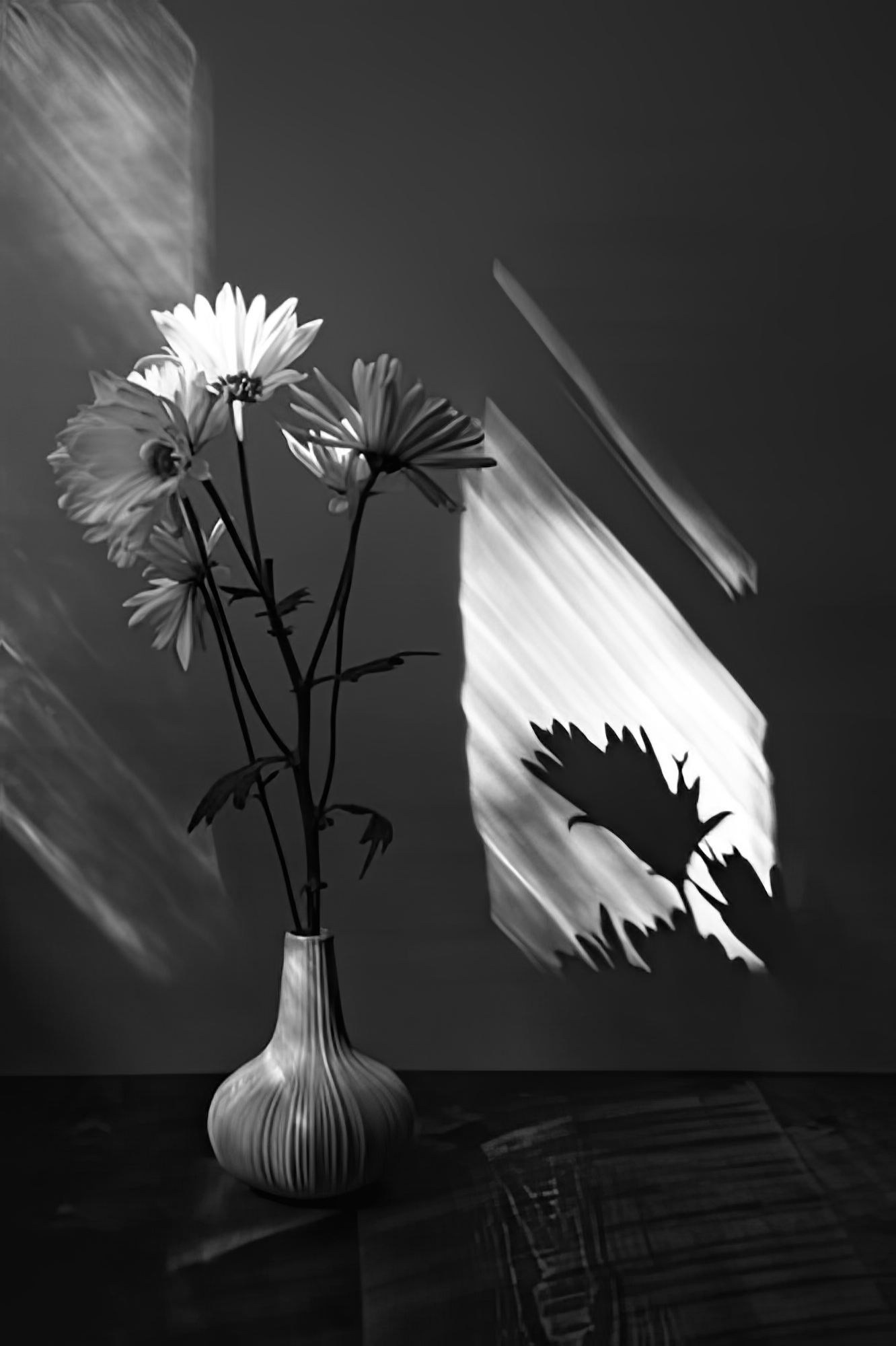 Floral Shadow