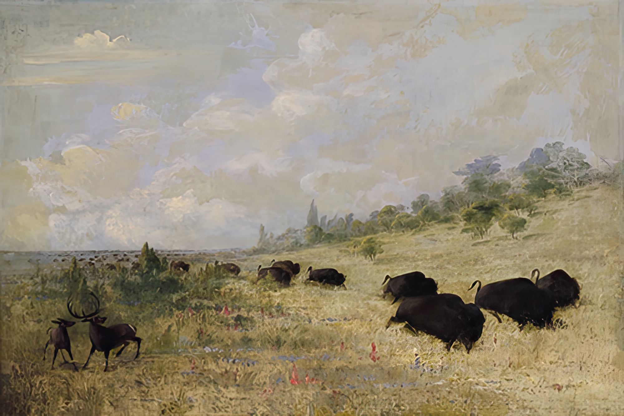 Elk and Buffalo Grazing among Prairie Flowers, Texas