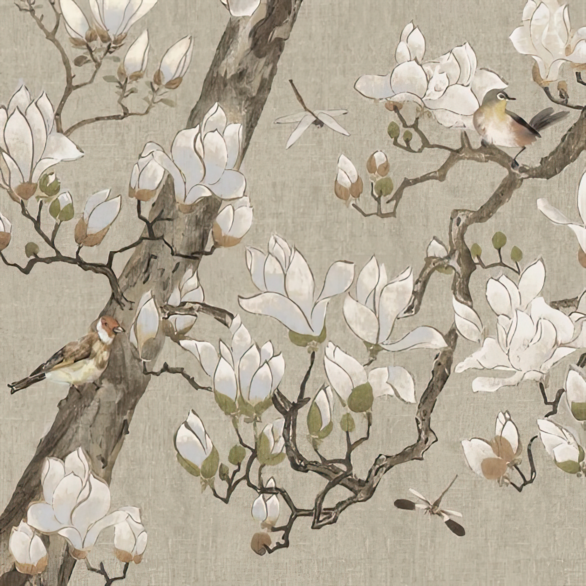 Magnolia Bloom