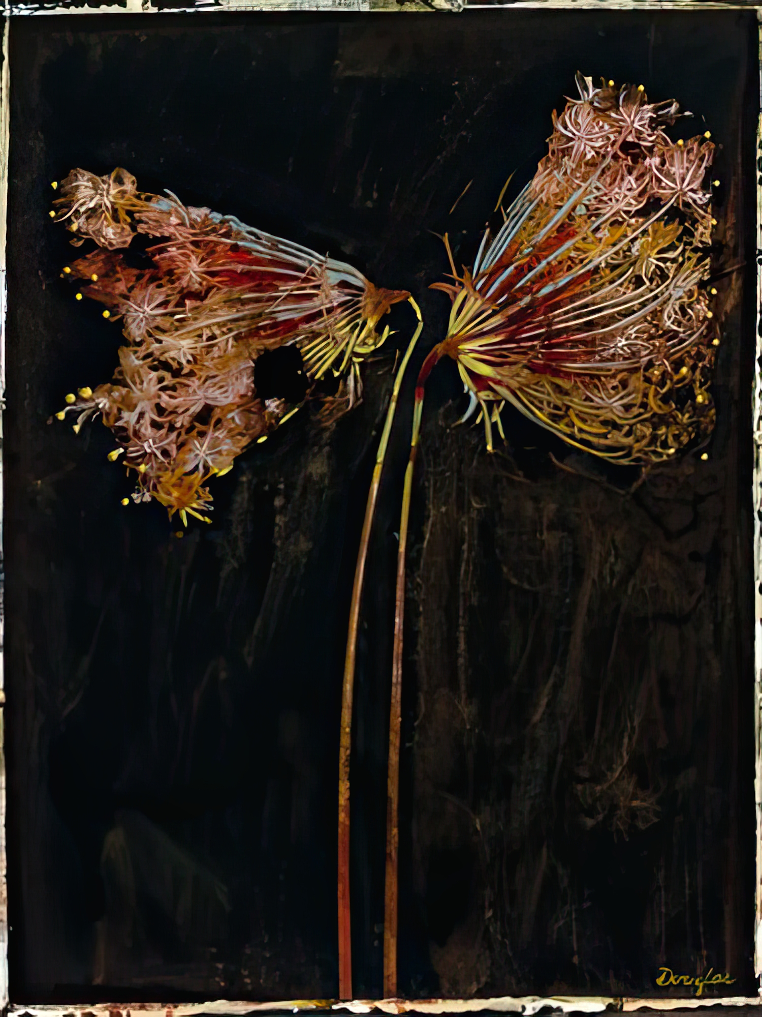 Floral Negative II