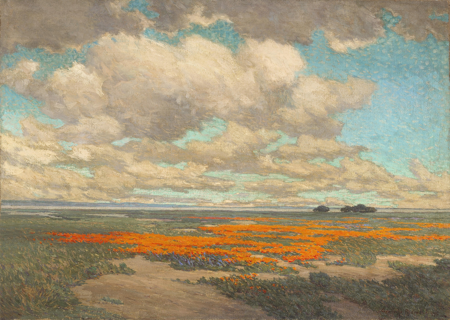 A Field of California Poppies, 1911